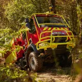 Renault Trucks D in the forest