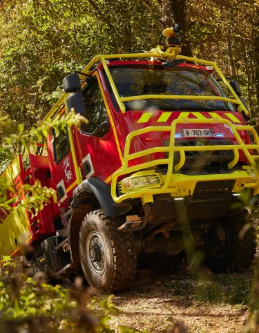 Renault Trucks D in the forest